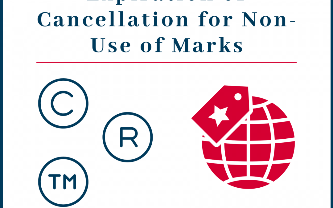 Expiration or Cancellation for Non-Use of Marks: A wait that has taken more than seven years